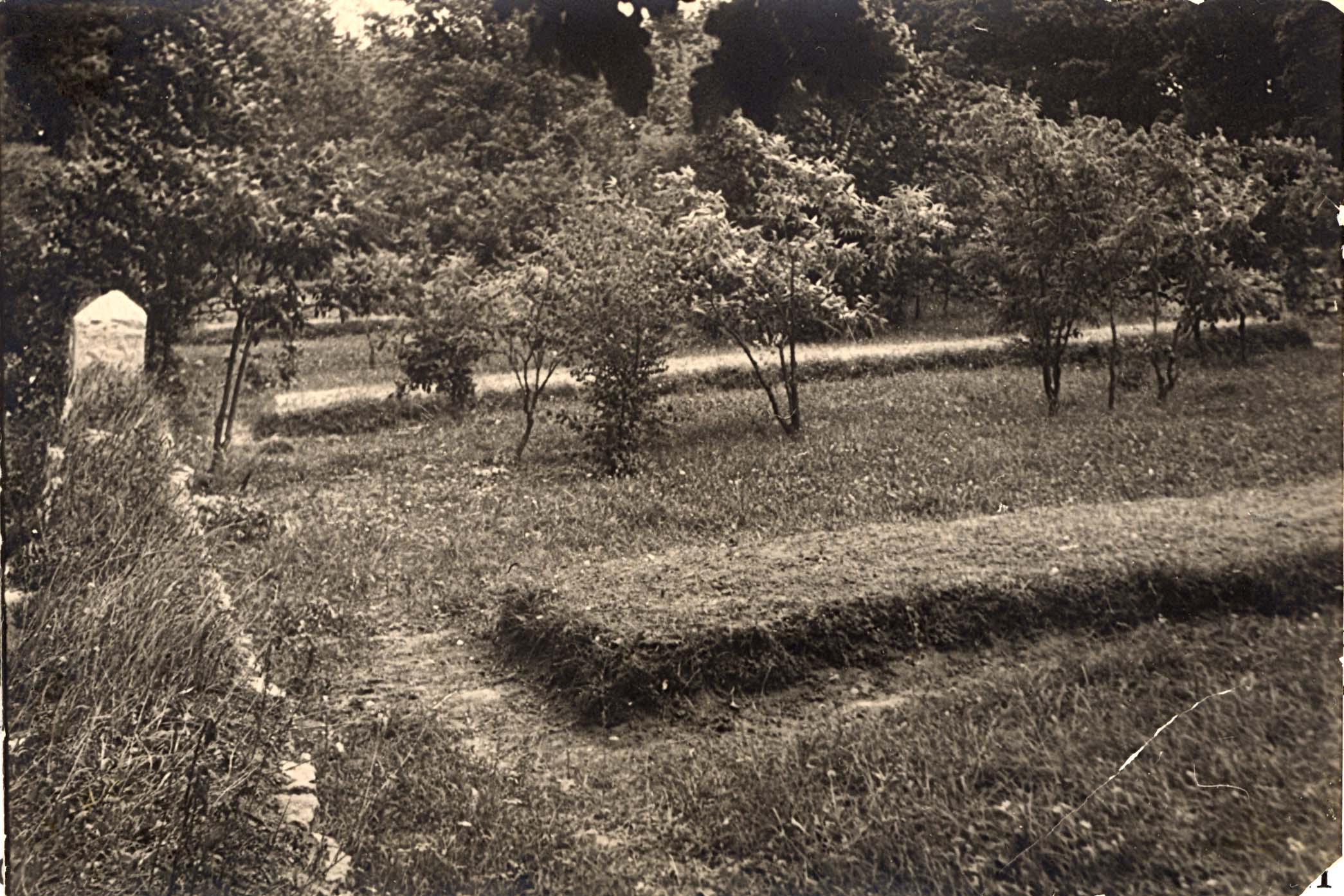 One of the mass graves in the Trikhov Forest