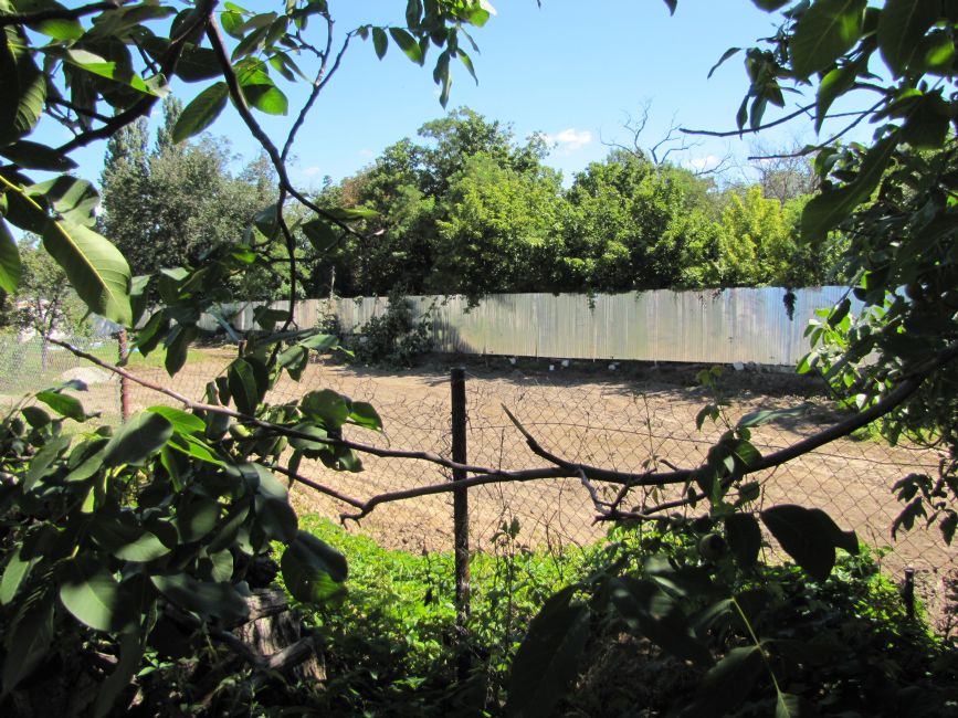 Vicinity of the former Pokrovskoye cemetery. Photographer: 	Mikhail Tyaglyy, 2018.