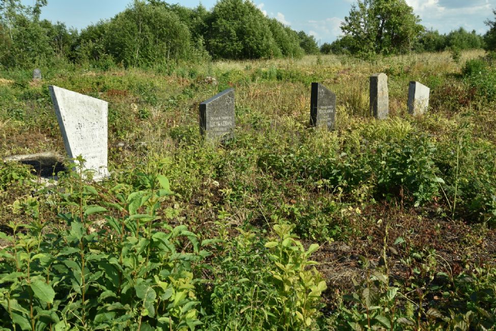 Old Jewish cemetery. Photographer: 	Alexander Litin, 2015.