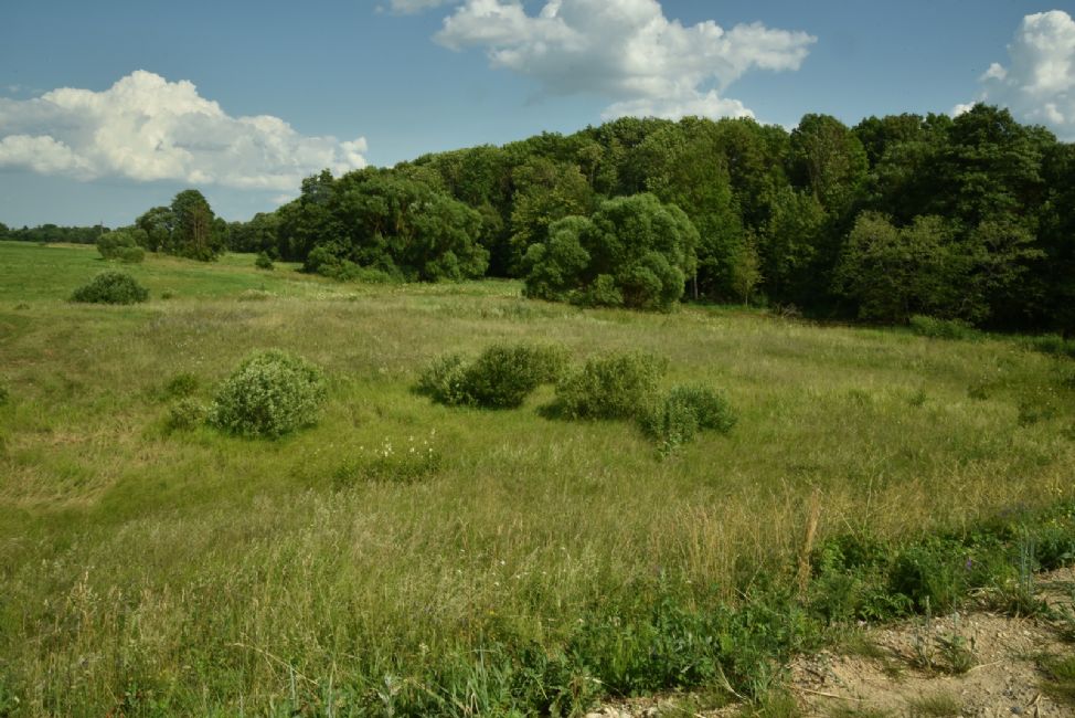 Murder site near Radziuki village. Photographer: 	Alexander Litin, 2015.