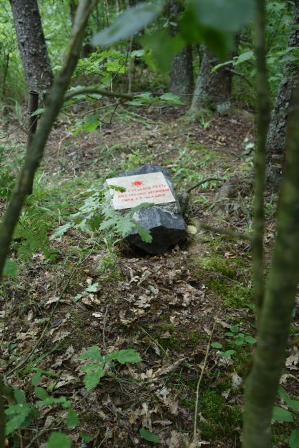 Murder site near Mielnica Village. Photographer: 	Alexander Litin, 2015.