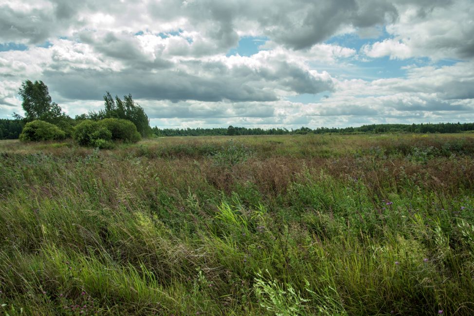 Żołnica Village murder site. Photographer: 	Alexander Litin, 2015.