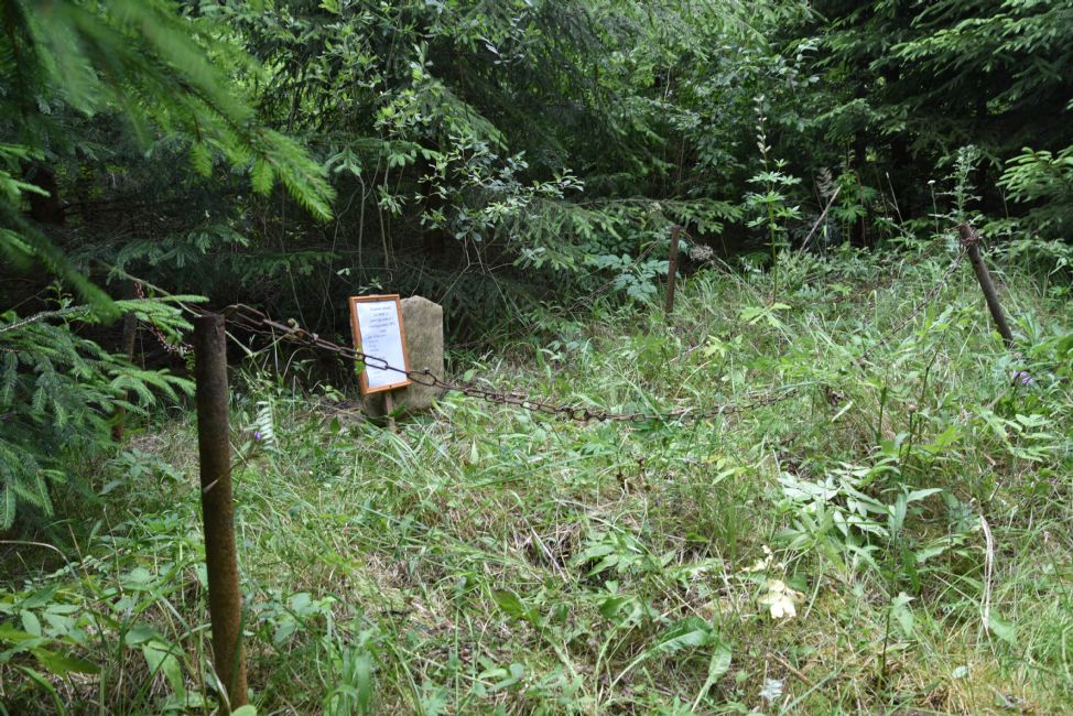 Murder site in the forest. Photographer: 	Alexander Litin, 2015.