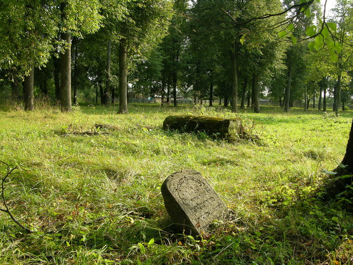 The Jewish cemetery in Cherikov. Photographer: 	Alexander Litin, 2008.