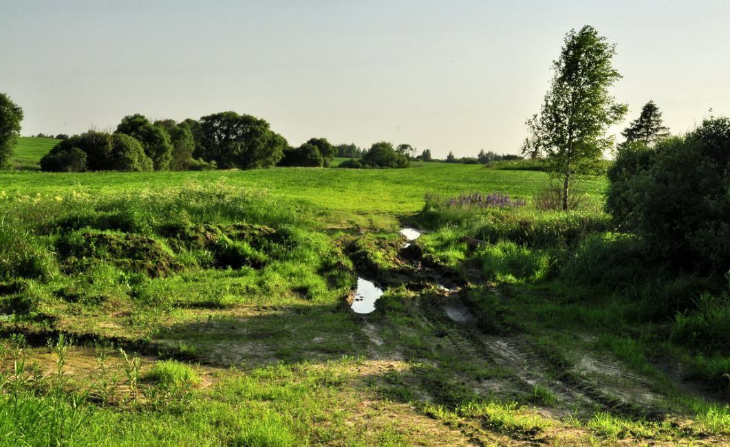 Site of the no longer existing town of Vereshchaki. Photographer: 	Alexander Litin, 2009.