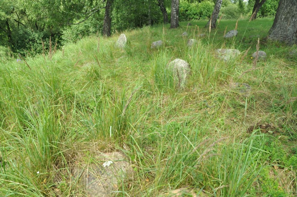 The local Jewish cemetery. Photographer: 	Alexander Litin, 2011.