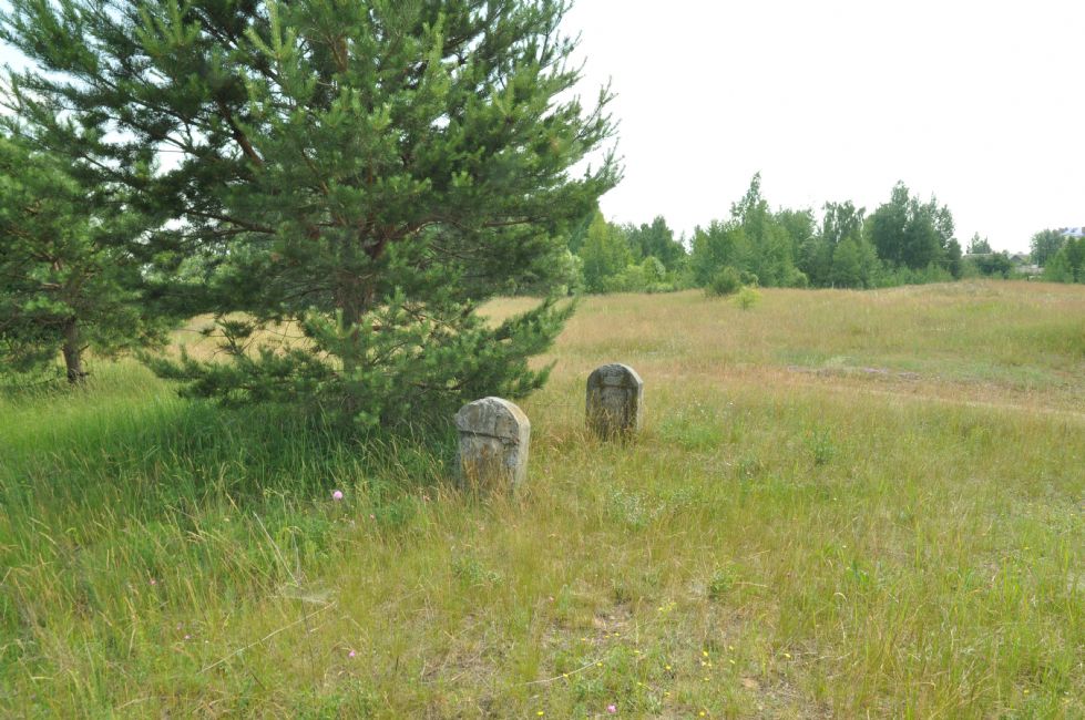 Remaining tombstones in the Jewish cemetery of Vetka. Photographer: 	Alexander Litin, 2012.