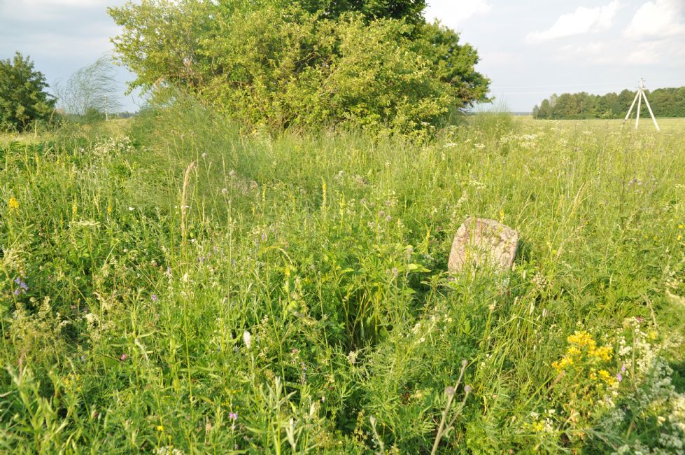 Shatsk Jewish cemetery. Photographer: 	Alexander Litin, 2013.