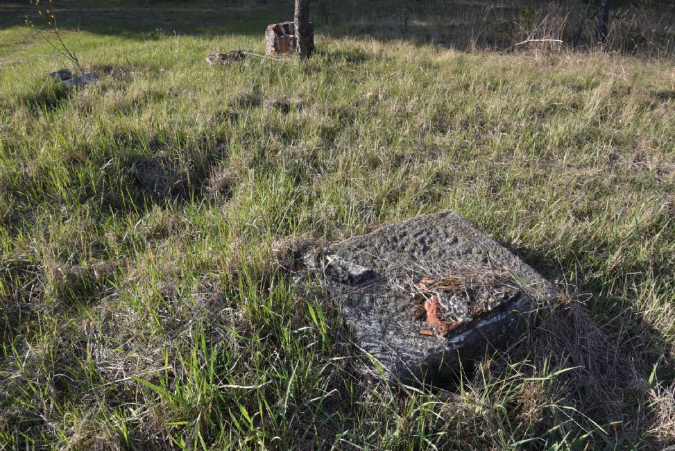Old Jewish cemetery. Photographer: 	Alexander Litin, 2015.