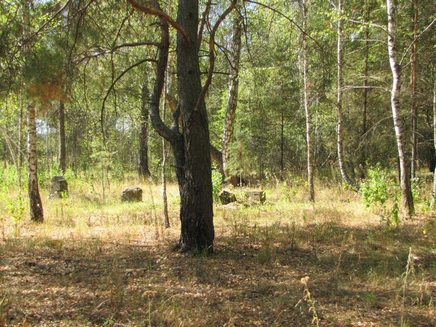 Bazar Jewish cemetery. Photographer: 	Mikhail Tyaglyy, 2016.