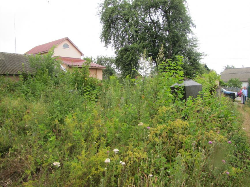 The Baranovka Jewish cemetery. Photographer: 	Mikhail Tyaglyy, 2015.