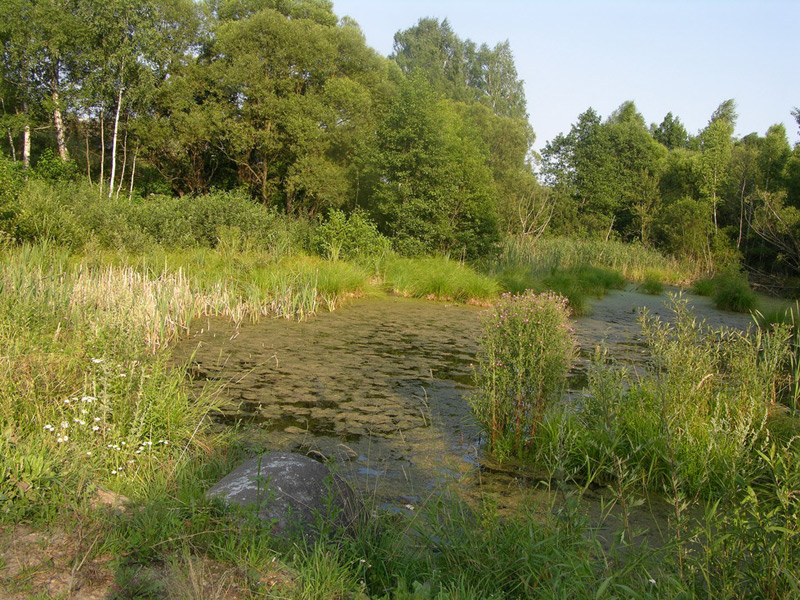 Tsentralnaya Street murder site. Photographer: 	Alexander Litin, 2008.