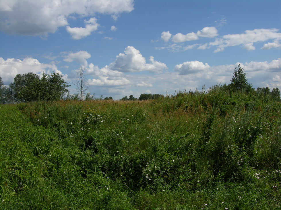 Murder Site of the Jewish men of Sapezhinka. Photographer: 	Alexander Litin, 2008.