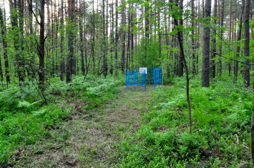 Murder site of the Jews of Yasen. Photographer: 	Alexander Litin, 2009.