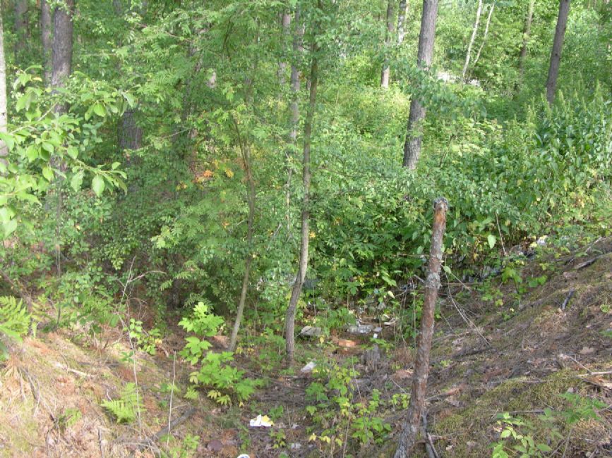 Neroplya Ravine murder site. Photographer: 	Alexander Litin, 2008.