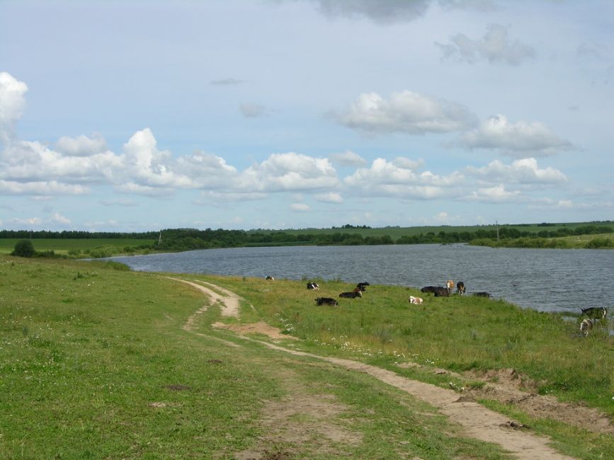 Budki Ravine murder site in Golovchin. Photographer: 	Alexander Litin, 2008.