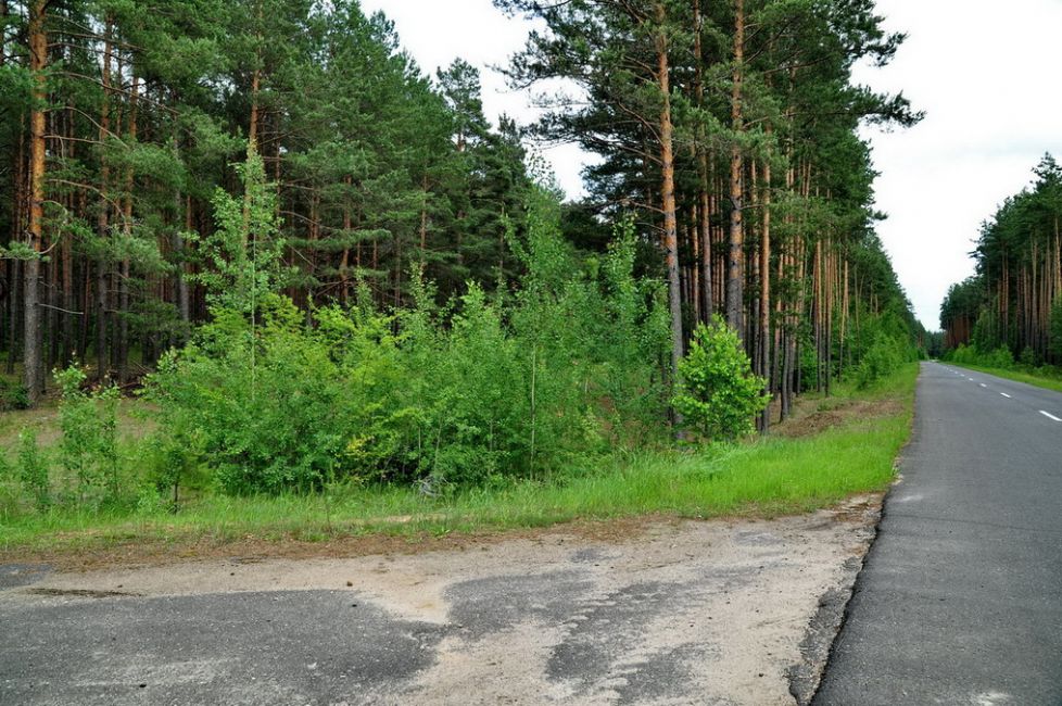 Murder site of Gorodok Jews. Photographer: 	Alexander Litin, 2009.