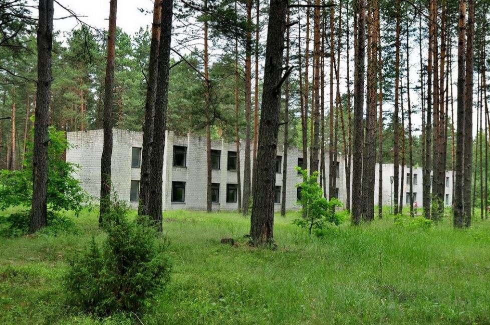 Murder site of Jews from Gorodok, near today's Ptich children's camp. Photographer: 	Alexander Litin, 2009.