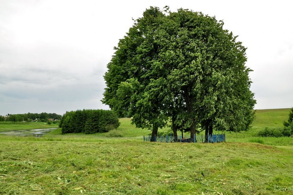 The murder site of the Jews of Gory. Photographer: 	Alexander Litin, 2009.