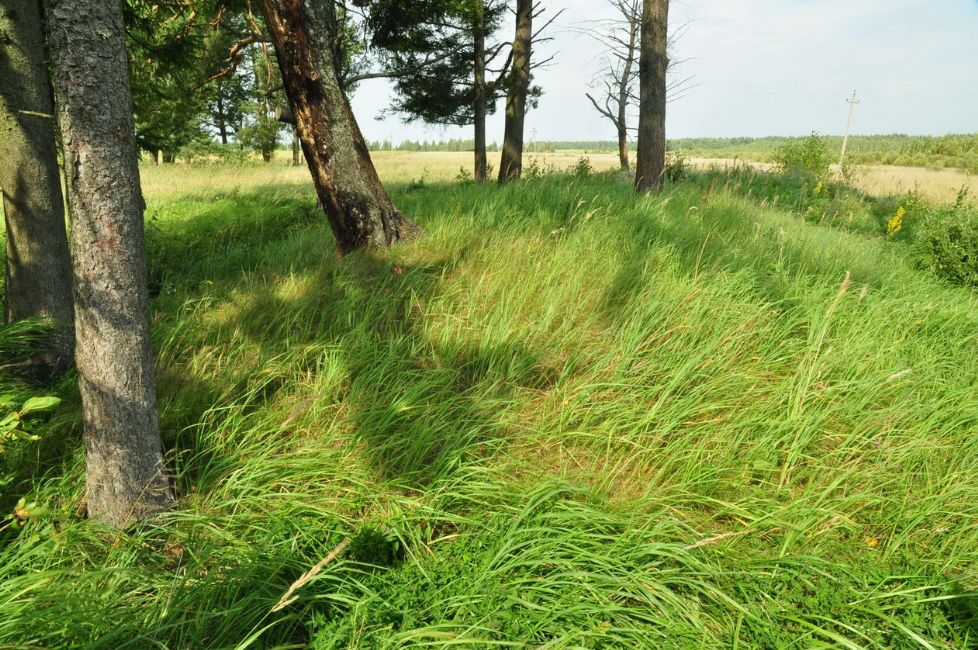 Murder site of Krasnopolye's Jews near Sidorovka village. Photographer: 	Alexander Litin, 2009.