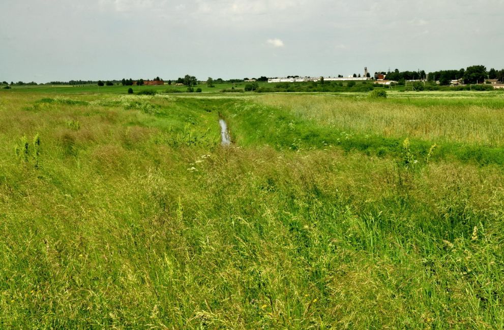 Site of the murder of Lenino's Jews. Photographer: 	Alexander Litin, 2009.