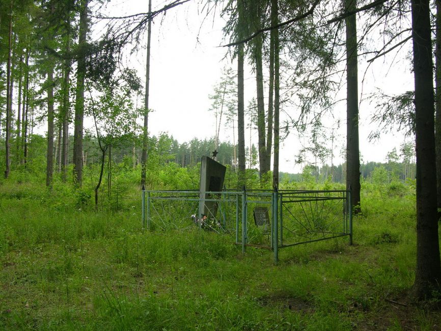 Site of the murder of Staroselye and Shchetinka Jews. Photographer: 	Alexander Litin, 2008.