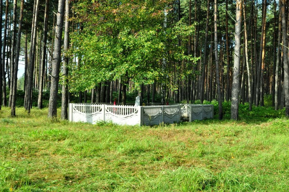 Postwar monument at the murder site of Jewish men from Yelizno. Photographer: 	Alexander Litin, 2009.