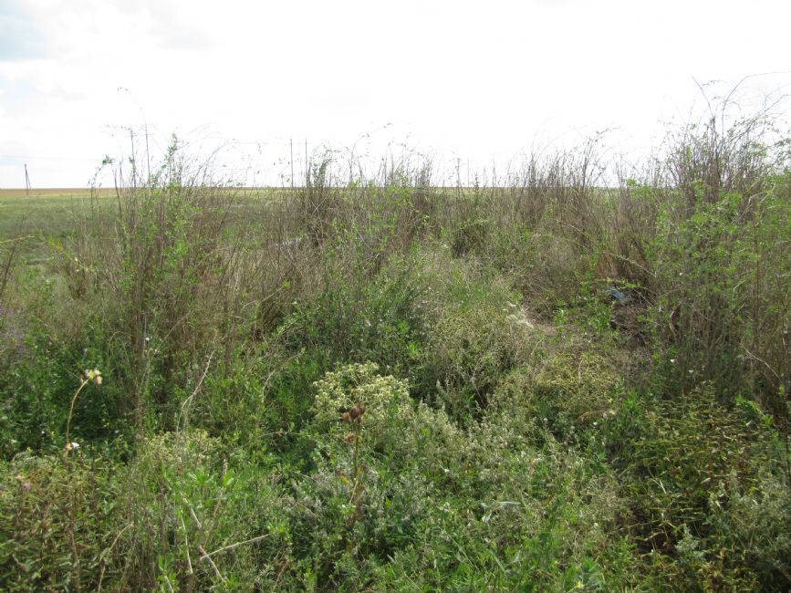 One of the three suggested murder sites. Photographer: 	Mikhail Tyaglyy, 2010.