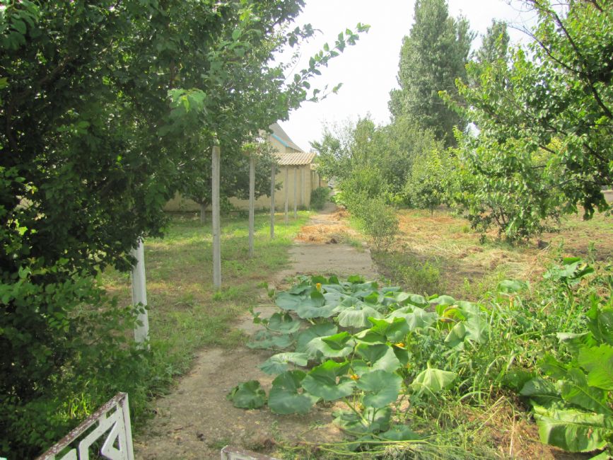 The murder site in Mayfeld, present-day view. Photographer: 	Mikhail Tyaglyy, 2010.