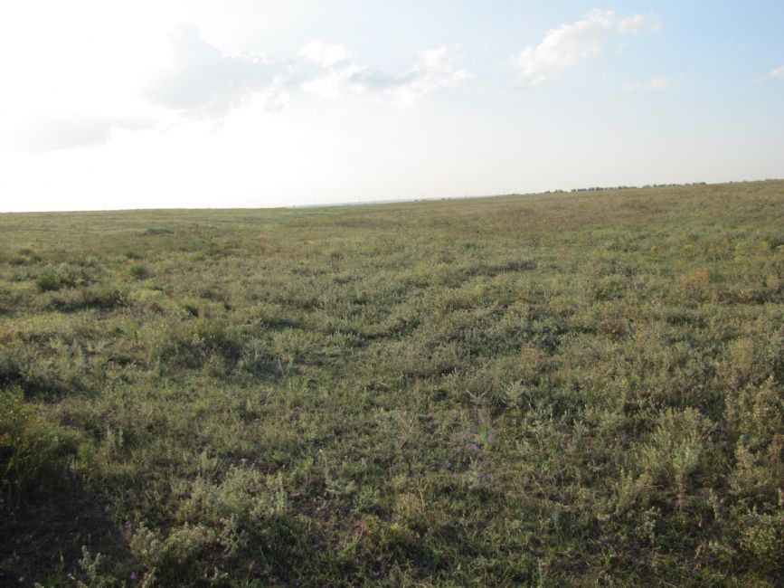 Murder site of Sverdlovka Jews. Photographer: 	Mikhail Tyaglyy, 2010.