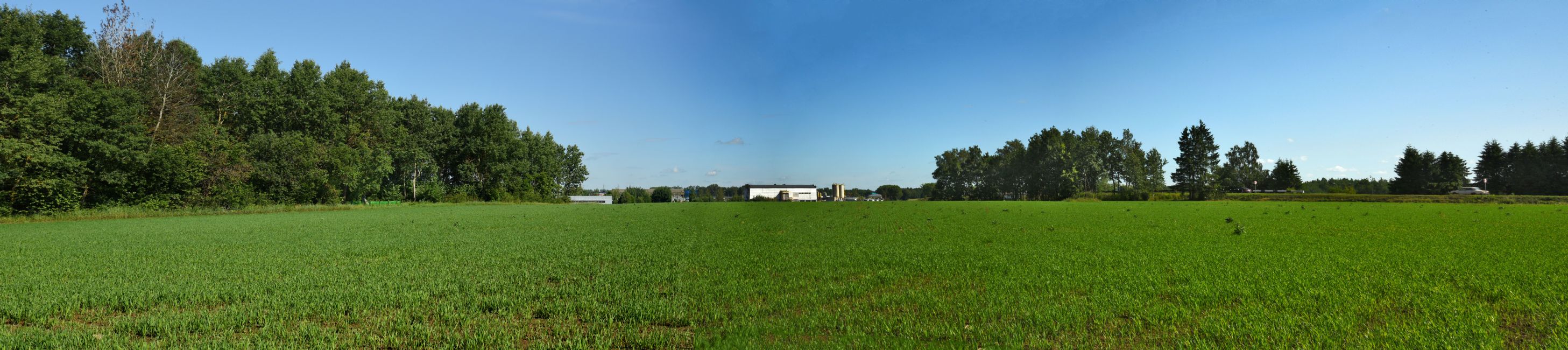 Area of former Dzerzhinsk-Stankovo railway line. Photographer: 	Alexander Litin, 2018.