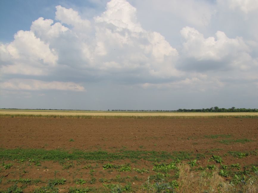 The presumed site of the anti-tank trench near Der Emes. Photographer: 	Mikhail Tyaglyy, 2011.