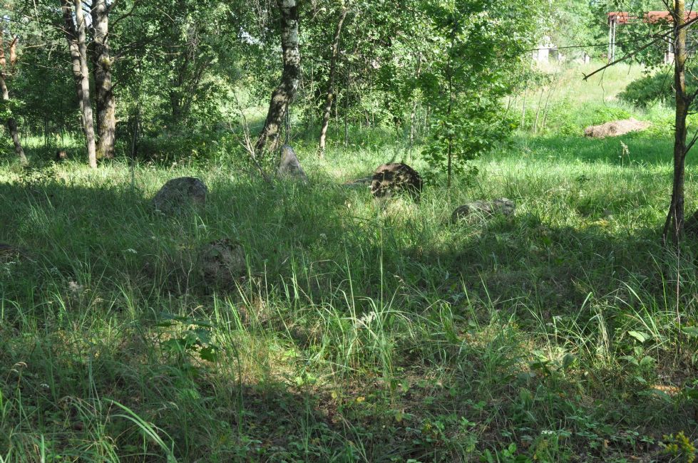 The local cemetery where the Jewish men of Babinovichi were shot. Photographer: 	Alexander Litin, 2011.