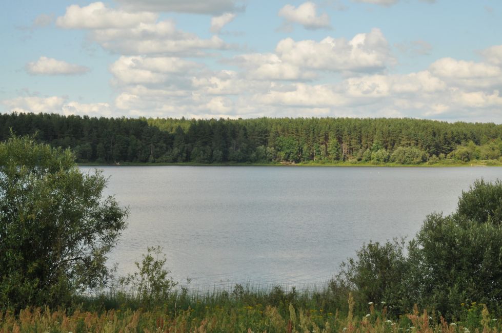 Zelenskoye Lake where the Jewish women, children, and old people were shot. Photographer: 	Alexander Litin, 2011.