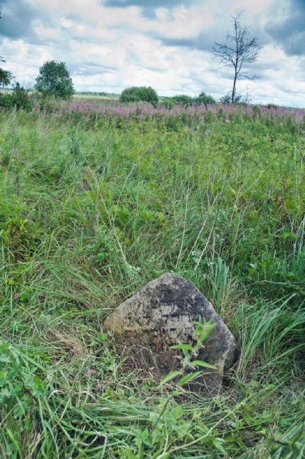 Murder site at the Jewish cemetery in Sloboda. Photographer: 	Alexander Litin, 2012.