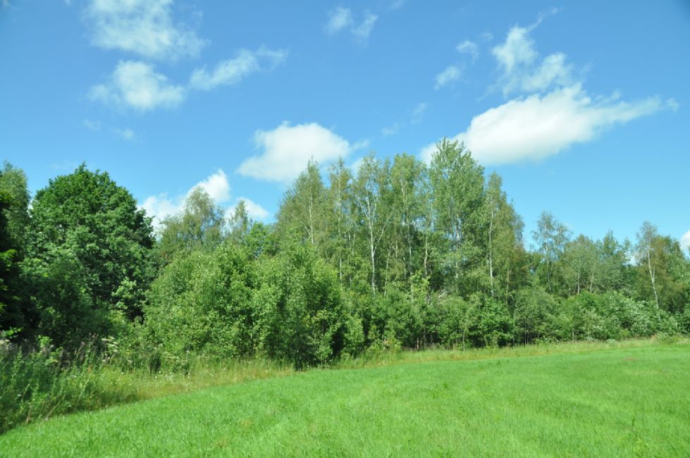 Lisiya Nora murder site. Photographer: 	Alexander Litin, 2012.