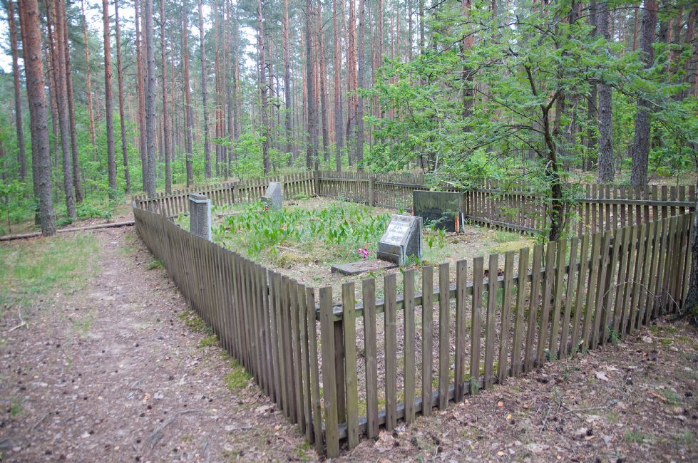 Forest murder site. Photographer: 	Alexander Litin, 2013.