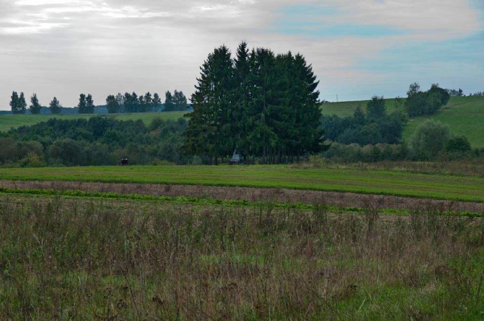 Murder site. Photographer: 	Alexander Litin, 2010.