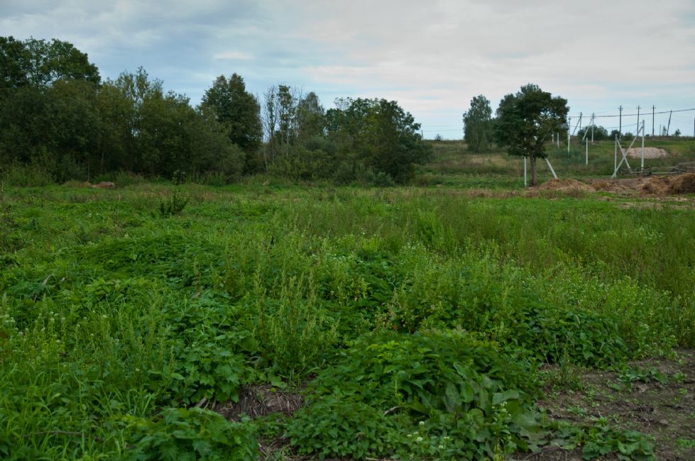 Murder site. Photographer: 	Alexander Litin, 2010.