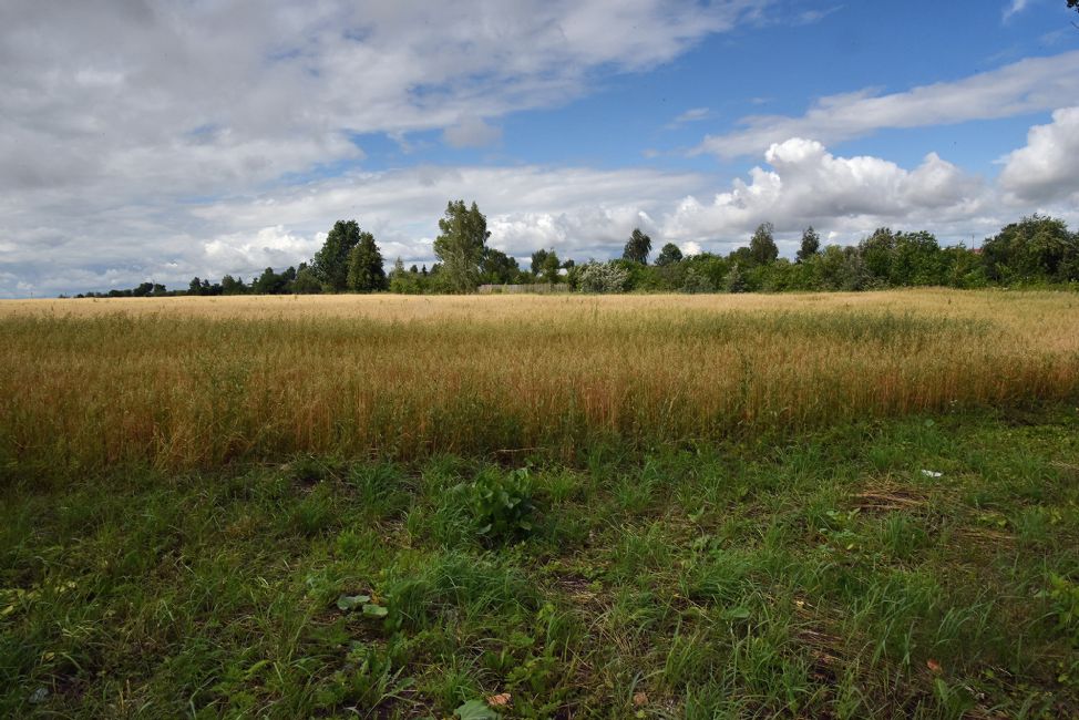 Murder site on the former Shkolnaya Street. Photographer: 	Alexander Litin, 2015.