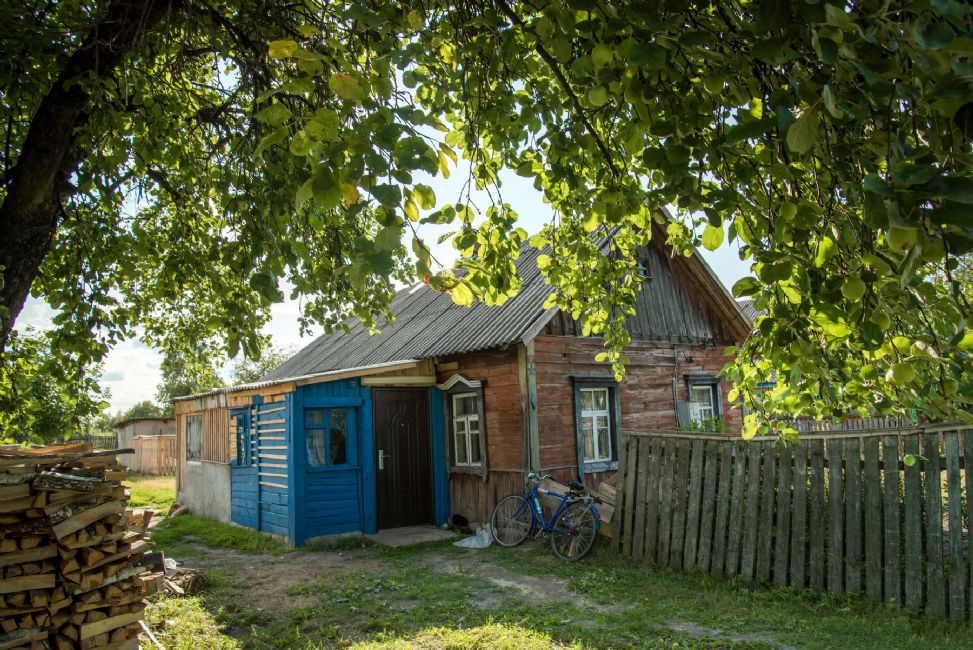 Murder site of the Jews of Antonovka. Photographer: 	Alexander Litin, 2015.