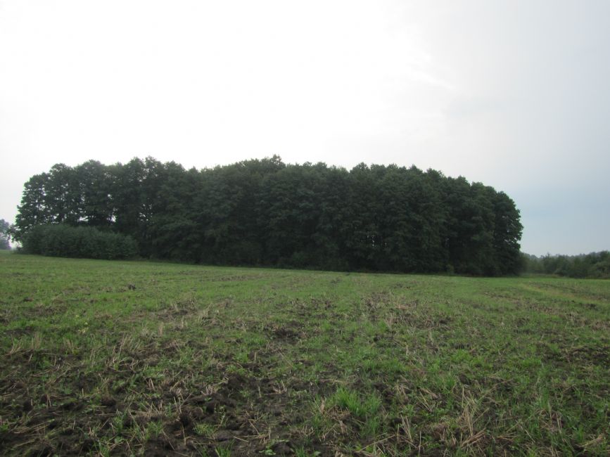 The Kazany ravine in the vicinity of the village of Yagodenka. Photographer: 	Mikhail Tyaglyy, 2012.