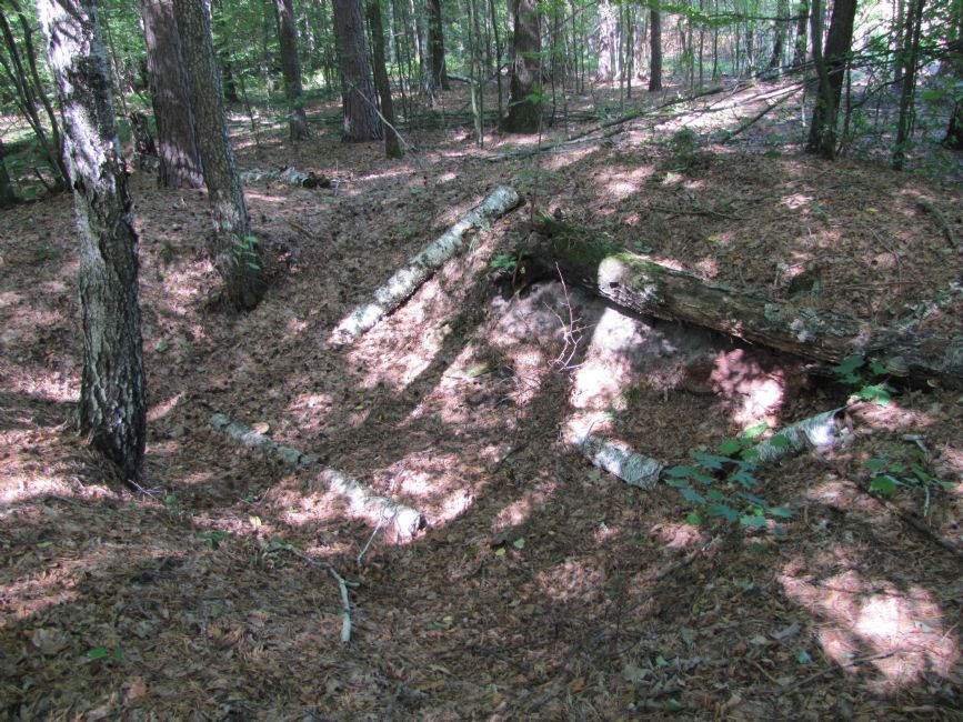 Murder site of the Jews of Vyunki. Contemporary view. Photographer: 	Mikhail Tyaglyy, 2012.