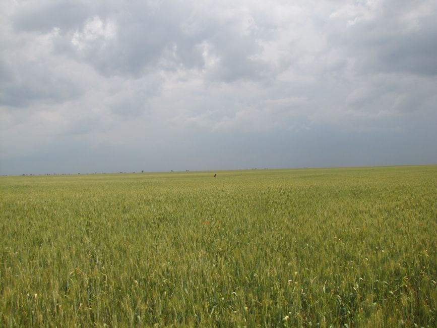 Chubarov well site. Photographer: 	Mikhail Tyaglyy, 2011.