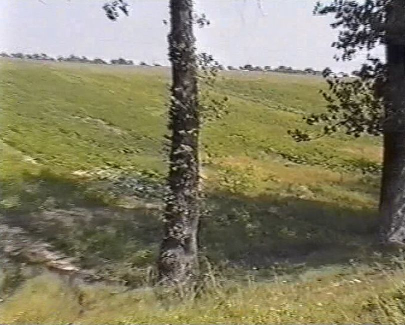 Tombstone in the Rożyszcze Jewish cemetery. Screenshot from Aharon Gotlib's film about the trip to Rożyszcze, Yad Vashem Video Collection V 2292/2