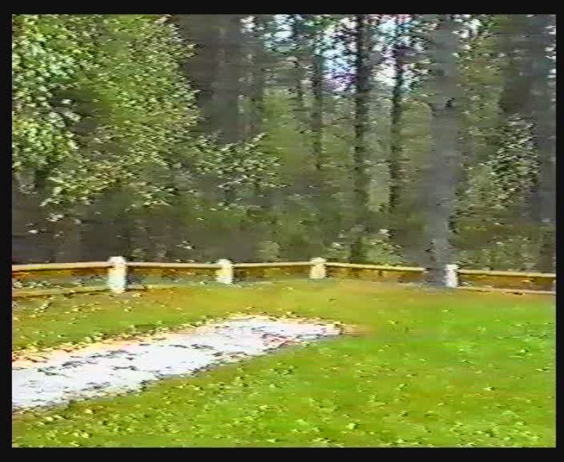 Murder site of Varėna's Jews. A screenshot from the film "Jewish Cemeteries and Monuments in Lithuania," 1991,  Yad Vashem, The Visual Center V 685