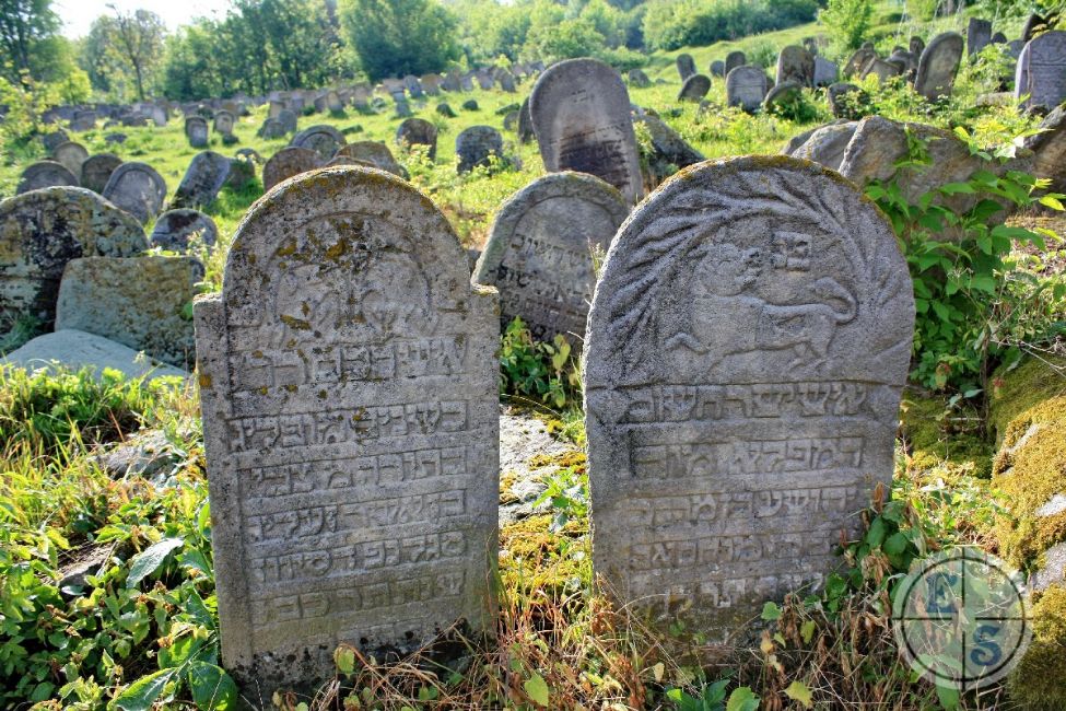Old Jewish cemetery of Ozarintsy. Photographer: Eugene Shnaider, 2012.