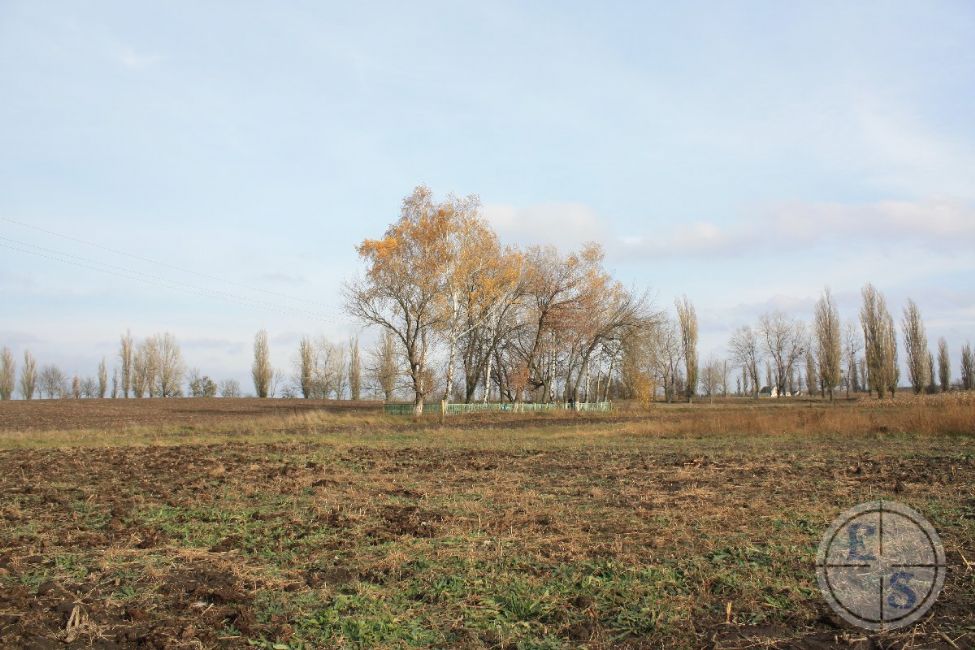 Polevoye murder site,contemporary view. Photographer: Eugene Shnaider, 2012.