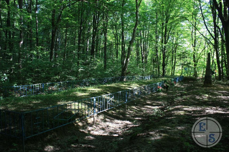 Site of the murder of Tyvrov's Jews. Photographer: Eugene Shnaider, 2012.