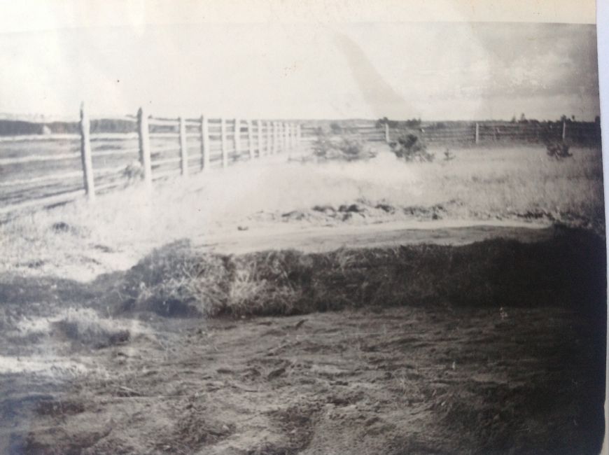 Grave of the Jewish victims from Milowidy